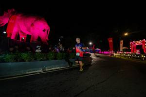 BIB: 
                            <button type="button" onclick="openModal(26552654)" class="btn btn-primary btn-sm float-right btn-popup" data-toggle="modal" data-target=".modal-high-quality">
                        <i class="fas fa-shopping-cart"></i> Add to Cart
                    </button>
                                            <button type="button" onclick="isThisMe(26552654, true)" class="btn btn-success btn-sm float-right btn-popup btn-isme hidden" data-toggle="tooltip" data-placement="bottom" title="นี่คือรูปของคุณใช่ไหม คลิกที่นี่เพื่อเอาเข้าอัลบั้ม">
                        <i class="fas fa-plus"></i> Add to album
                    </button>
                    <button type="button" onclick="isThisMe(26552654, false)" class="btn btn-warning btn-sm float-right btn-popup btn-isnotme hidden">
                        <i class="fas fa-ban"></i> Remove from album
                    </button>